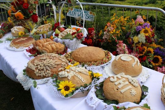 Dożynki w Podhorcach. Tak świętowali mieszkańcy gm. Tomaszów [ZDJĘCIA]