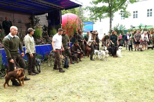 Lubelskie Spotkania z Tradycją i Kulturą Łowiecką [ZDJĘCIA]