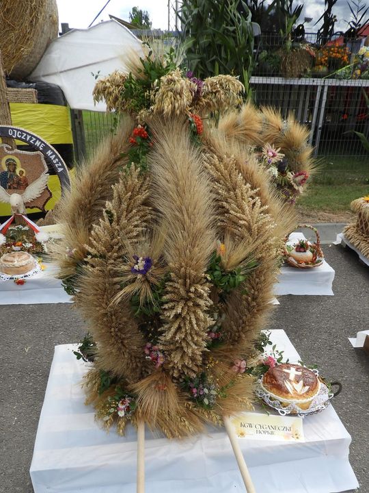 Dożynki w Łaszczowie. Tradycja, wiara i zabawa [ZDJĘCIA]