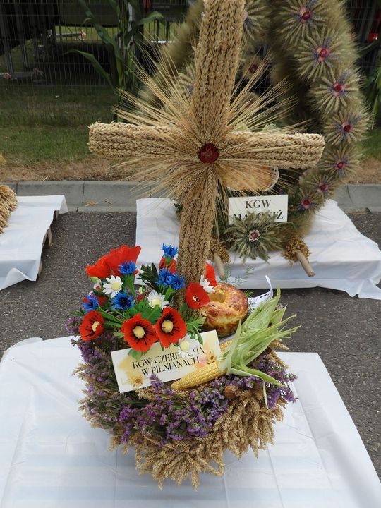 Dożynki w Łaszczowie. Tradycja, wiara i zabawa [ZDJĘCIA]