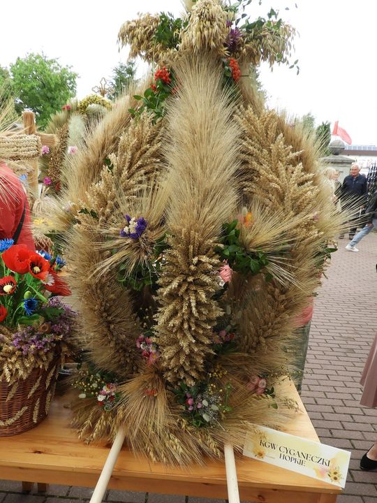 Dożynki w Łaszczowie. Tradycja, wiara i zabawa [ZDJĘCIA]