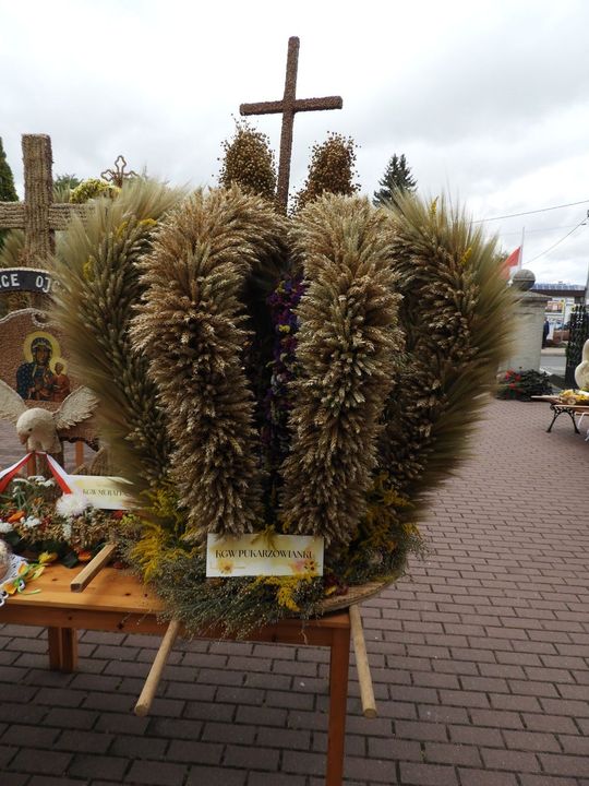 Dożynki w Łaszczowie. Tradycja, wiara i zabawa [ZDJĘCIA]