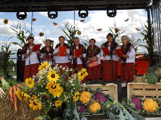 Dożynki w Łaszczowie. Tradycja, wiara i zabawa [ZDJĘCIA]
