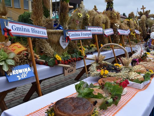 Dożynki powiatu biłgorajskiego w Potoku Górnym - galeria zdjęć