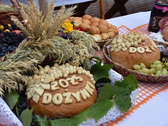 Dożynki powiatu biłgorajskiego w Potoku Górnym - galeria zdjęć