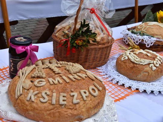 Dożynki powiatu biłgorajskiego w Potoku Górnym - galeria zdjęć