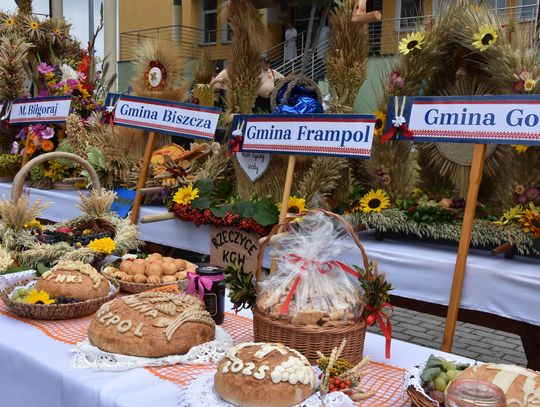 Dożynki powiatu biłgorajskiego w Potoku Górnym - galeria zdjęć