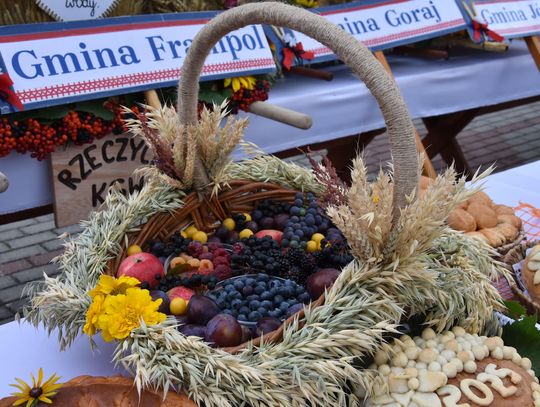 Dożynki powiatu biłgorajskiego w Potoku Górnym - galeria zdjęć