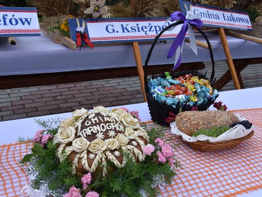 Dożynki powiatu biłgorajskiego w Potoku Górnym - galeria zdjęć