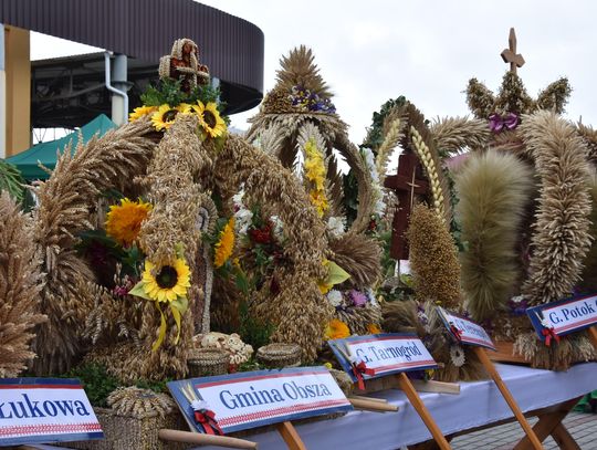 Dożynki powiatu biłgorajskiego w Potoku Górnym - galeria zdjęć