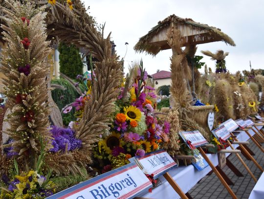 Dożynki powiatu biłgorajskiego w Potoku Górnym - galeria zdjęć