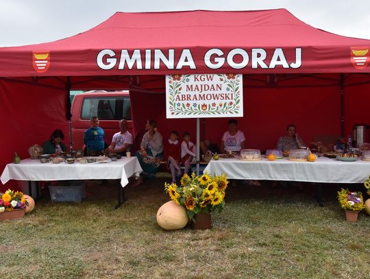 Dożynki powiatu biłgorajskiego w Potoku Górnym - galeria zdjęć