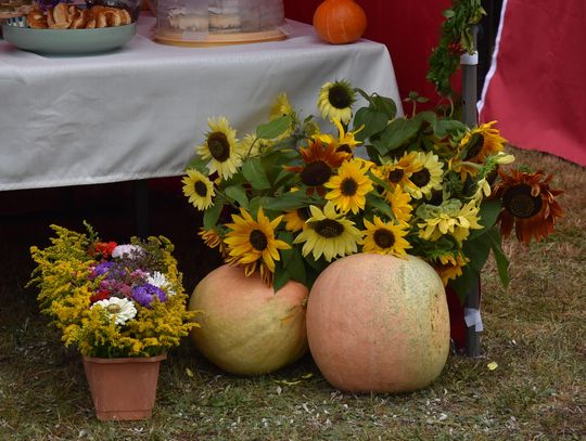 Dożynki powiatu biłgorajskiego w Potoku Górnym - galeria zdjęć