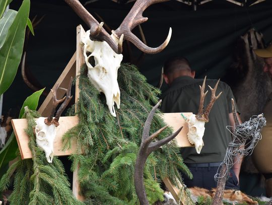 Dożynki powiatu biłgorajskiego w Potoku Górnym - galeria zdjęć