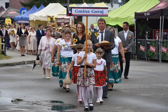 Dożynki powiatu biłgorajskiego w Potoku Górnym - galeria zdjęć
