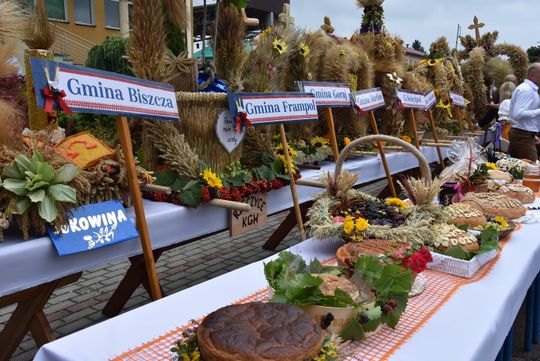 Dożynki powiatu biłgorajskiego w Potoku Górnym - galeria zdjęć