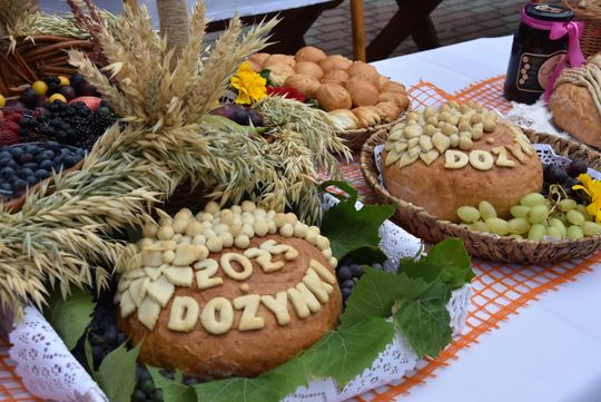 Dożynki powiatu biłgorajskiego w Potoku Górnym - galeria zdjęć