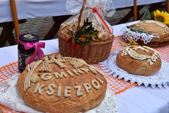 Dożynki powiatu biłgorajskiego w Potoku Górnym - galeria zdjęć