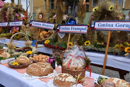 Dożynki powiatu biłgorajskiego w Potoku Górnym - galeria zdjęć