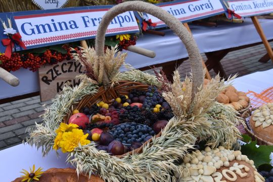 Dożynki powiatu biłgorajskiego w Potoku Górnym - galeria zdjęć