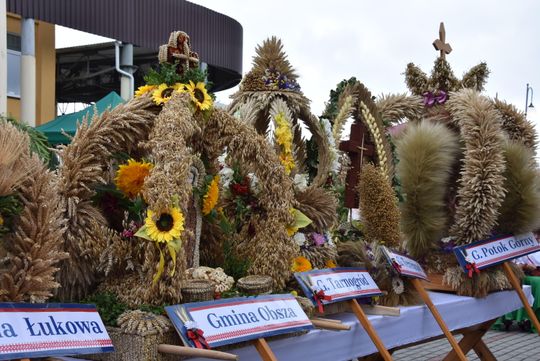 Dożynki powiatu biłgorajskiego w Potoku Górnym - galeria zdjęć