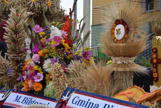 Dożynki powiatu biłgorajskiego w Potoku Górnym - galeria zdjęć