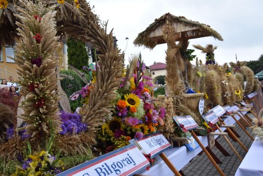 Dożynki powiatu biłgorajskiego w Potoku Górnym - galeria zdjęć