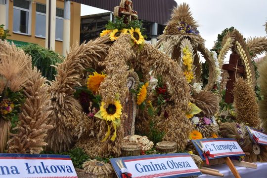 Dożynki powiatu biłgorajskiego w Potoku Górnym - galeria zdjęć