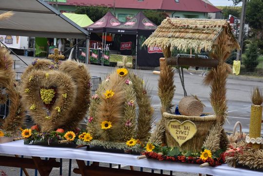 Dożynki powiatu biłgorajskiego w Potoku Górnym - galeria zdjęć