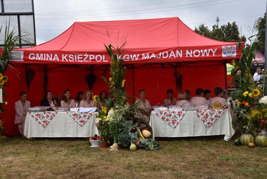 Dożynki powiatu biłgorajskiego w Potoku Górnym - galeria zdjęć