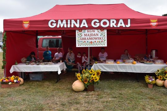 Dożynki powiatu biłgorajskiego w Potoku Górnym - galeria zdjęć