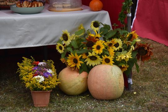 Dożynki powiatu biłgorajskiego w Potoku Górnym - galeria zdjęć