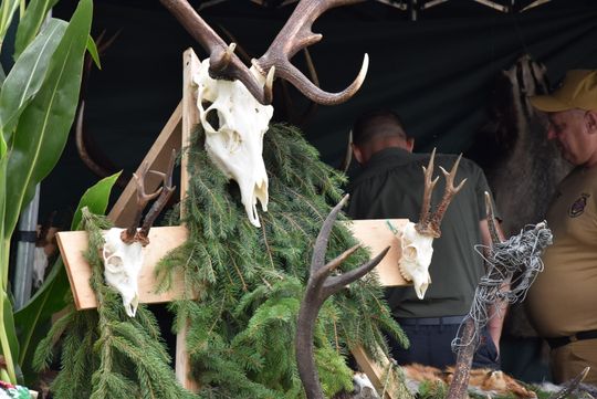 Dożynki powiatu biłgorajskiego w Potoku Górnym - galeria zdjęć