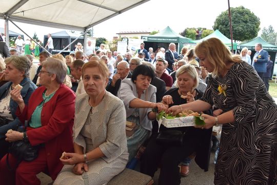 Dożynki powiatu biłgorajskiego w Potoku Górnym - galeria zdjęć