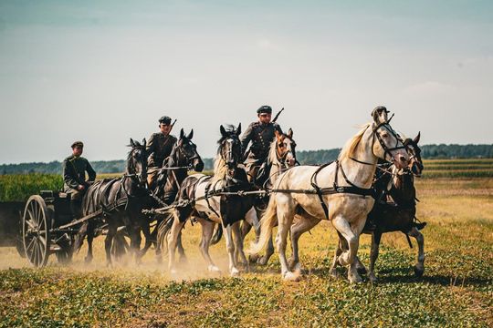 Rekonstrukcja Bitwy pod Komarowem 2025 - galeria zdjęć