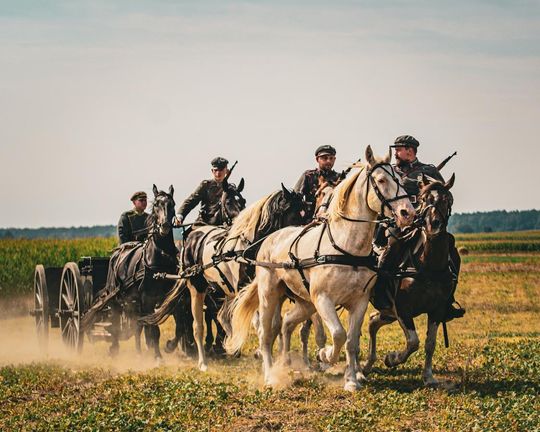 Rekonstrukcja Bitwy pod Komarowem 2025 - galeria zdjęć