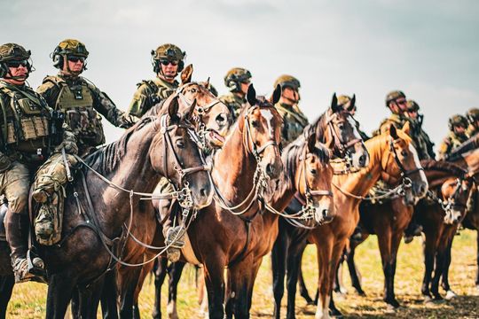 Rekonstrukcja Bitwy pod Komarowem 2025 - galeria zdjęć Rekonstrukcja Bitwy pod Komarowem 2025 - galeria zdjęć