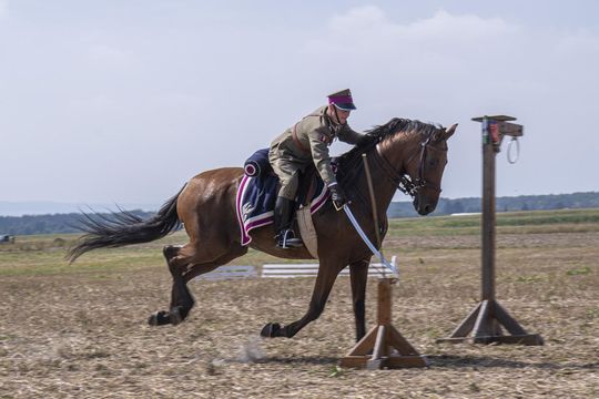 Bitwa pod Komarowem 2025 - zdjęcia z rekonstrukcji historycznej Bitwa pod Komarowem 2025 - zdjęcia z rekonstrukcji historycznej