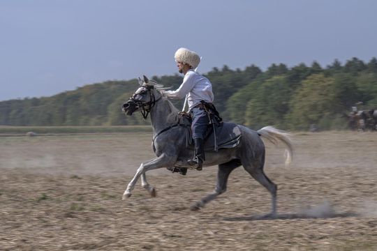 Bitwa pod Komarowem 2025 - zdjęcia z rekonstrukcji historycznej