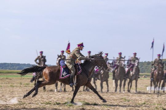 Bitwa pod Komarowem 2025 - zdjęcia z rekonstrukcji historycznej