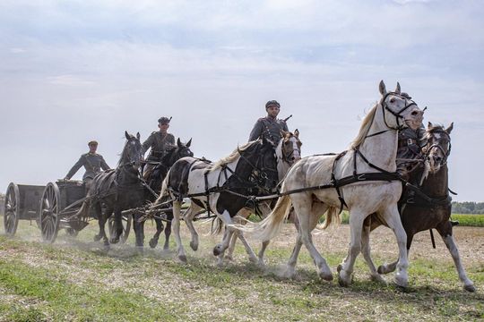 Bitwa pod Komarowem 2025 - zdjęcia z rekonstrukcji historycznej