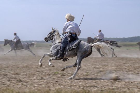 Bitwa pod Komarowem 2025 - zdjęcia z rekonstrukcji historycznej