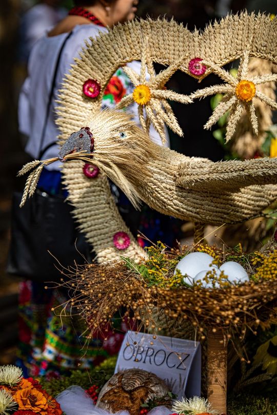 Dożynki gminno-parafialne w Zwierzyńcu [ZDJĘCIA]