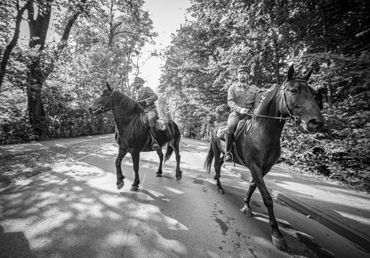 Dożynki gminno-parafialne w Zwierzyńcu [ZDJĘCIA]
