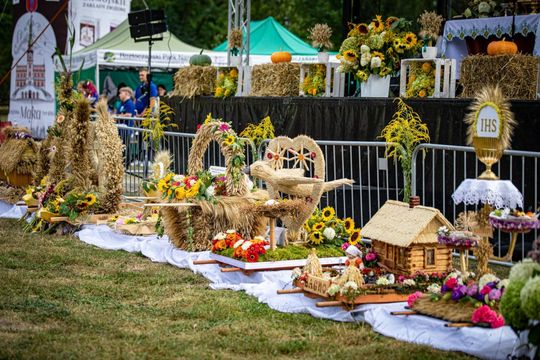 Dożynki gminno-parafialne w Zwierzyńcu [ZDJĘCIA]
