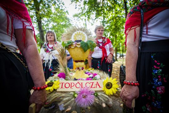 Dożynki gminno-parafialne w Zwierzyńcu [ZDJĘCIA]