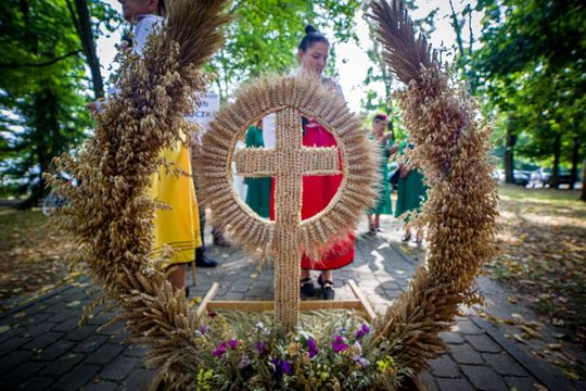 Dożynki gminno-parafialne w Zwierzyńcu [ZDJĘCIA]