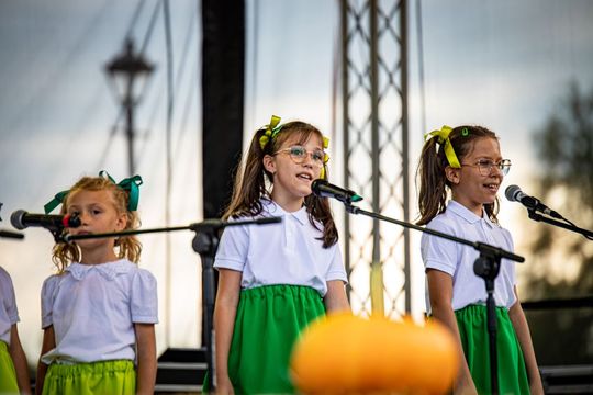 Dożynki gminno-parafialne w Zwierzyńcu [ZDJĘCIA]
