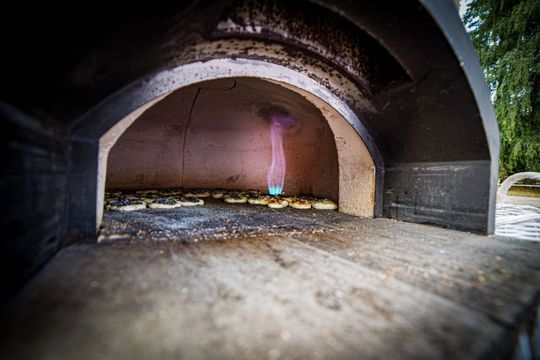 Dożynki gminno-parafialne w Zwierzyńcu [ZDJĘCIA]