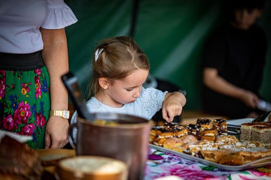 Dożynki gminno-parafialne w Zwierzyńcu [ZDJĘCIA]